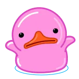🤷♂ anatra, rosa, carino, animale, blob, cartone animato telegram sticker