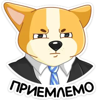 🧐 ПРИЕМЛЕМО corgi, chien, acceptable, autocollant, dessin animé, animal whatsapp sticker