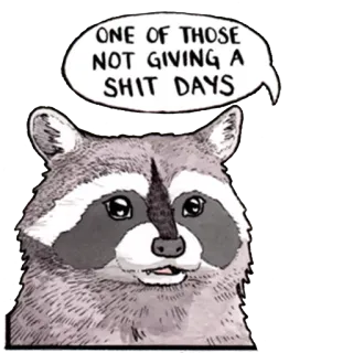 😒 ONE OF THOSE NOT GIVING A SHIT DAYS raccoon, animal, meme, offensive, humor telegram sticker