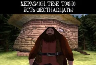 😏 Hagrid Harry Potter ХЕРМИОН, ТЕБЕ ТОЧНО ЕСТЬ ШЕСТНАДЦАТЬ? Harry Potter, Hagrid, meme, video game telegram sticker