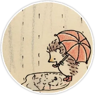 ☔ ёж, дождь, зонт, милый, животные whatsapp sticker