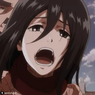 😐 Mikasa Ackerman Attack on Titan Anime, Attack on Titan, Mikasa Ackerman, Gewalt, Traurig, Verärgert, Manga whatsapp sticker