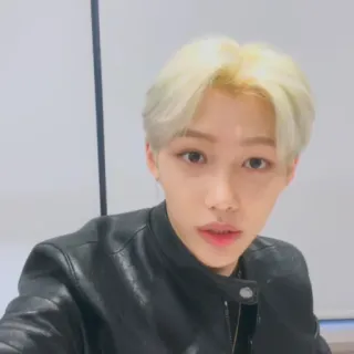 🌚 Felix kpop, ídolo, retrato, cantante, asiático, masculino, pelo rubio telegram sticker