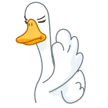 🙅♂️