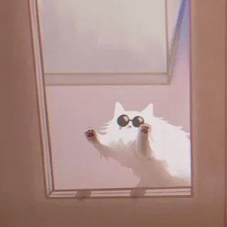 🐈 Katze, Sonnenbrille, Tier, Fenster, niedlich, weiß telegram sticker