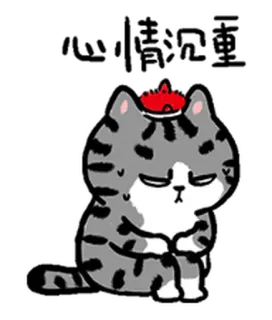 😖 mèo, dễ thương, nhãn dán, hoạt hình, buồn, biểu cảm, động vật, kawaii telegram sticker
