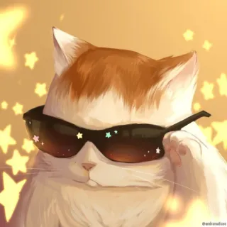 🌟 gato, gafas de sol, estrellas, genial, animal, naranja, blanco, mascota telegram sticker