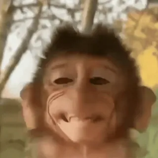 🐵 whatsapp sticker