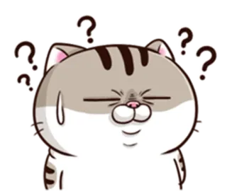 ❓ Katze, Fragezeichen, verwirrt, denkend, Cartoon, Sticker, Emotion whatsapp sticker