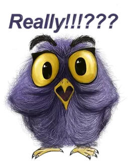 👀 Really!!!!???? นกฮูก, นก, คำถาม, ตกใจ, น่ารัก, ตลก telegram sticker