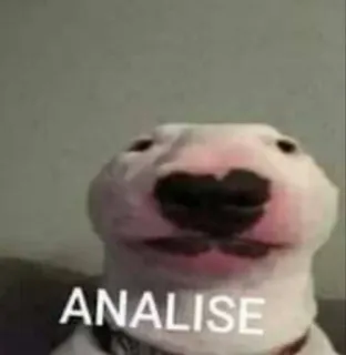 😐 ANÁLISE hond, meme, huisdier, grappig, analyse telegram sticker