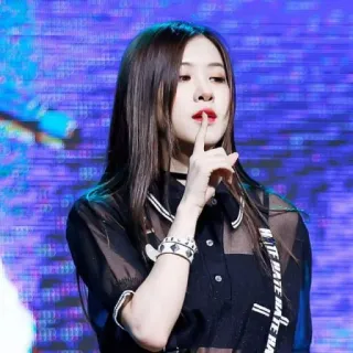 🤫 Rose HATE HATE HATE mulher, cantora, K-pop, Rose, Blackpink, moda, celebridade telegram sticker