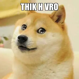 🥺 THIK H VRO doge, 狗, 梗, 搞笑, 厚的, vro telegram sticker