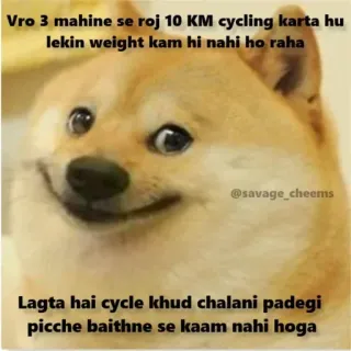 😂 Cheems Doge Meme Vro 3 mahine se roj 10 KM cycling karta hu lekin weight kam hi nahi ho raha. Lagta hai cycle khud chalani padegi picche baithne se kaam nahi hoga cheems, doge, meme, weight loss, cycling, gym humor, fitness, funny dog telegram sticker