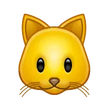 🐱