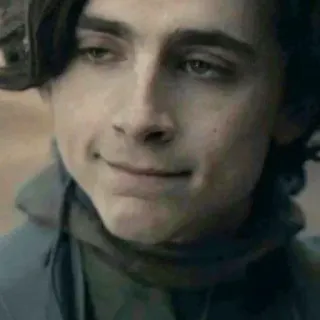 😐 Timothée Chalamet actor, celebrity, face, portrait telegram sticker
