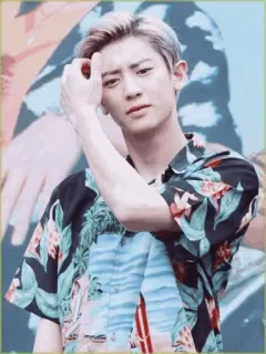 💮 Chanyeol kpop, chanteur, coréen, célébrité, asiatique telegram sticker