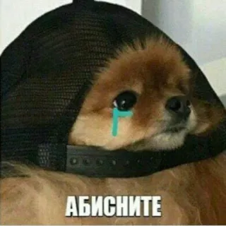 😭 АБИСНИТЕ telegram sticker