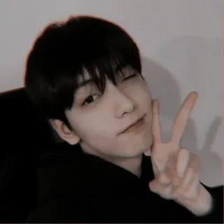 ⛅️ kpop, idol, person, man, peace sign, winking telegram sticker