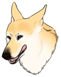 😆 anjing, hewan, peliharaan, anjing, gambar, ilustrasi, lucu telegram sticker