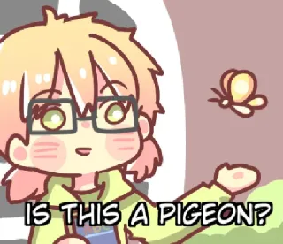 🤓 IS THIS A PIGEON? kupu-kupu, merpati, kartun, pertanyaan, hewan, burung whatsapp sticker