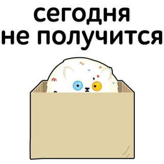 🙅‍♂️ сегодня не получится Katze, süß, Kiste, russischer Text, lustig, Fail telegram sticker