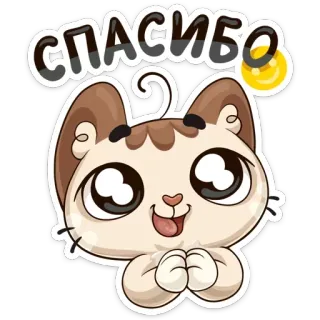 🙌 СПАСИБО kucing, terima kasih, imut, kawaii, bersyukur, hewan, kartun telegram sticker