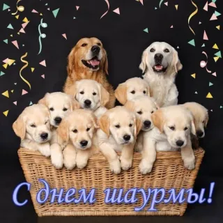 С днём | by @uffchat telegram stickers