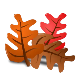 🍂 daun, musim gugur, musim gugur, alam, musiman telegram sticker