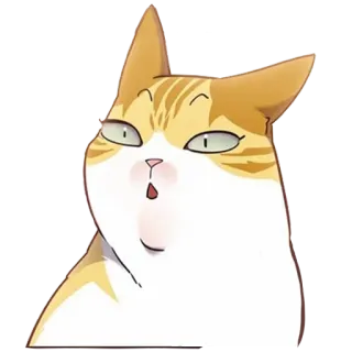 🤨 kucing, binatang, imut, stiker, kartun telegram sticker