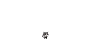 🧱 whatsapp sticker
