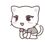 😵 gato, gatinho, fofo, animal, desenho animado whatsapp sticker