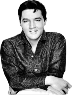 🙂 Elvis Presley Elvis, Elvis Presley, ca sĩ, nhạc sĩ, người nổi tiếng, những năm 50, những năm 60 telegram sticker