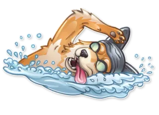 🏊 cane, nuoto, acqua, animale domestico, animale, cartone animato, divertimento telegram sticker