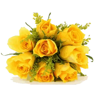 🌸 желтые розы, цветы, букет, розы, цветы, природа, подарок telegram sticker