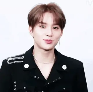 🔥 homem, kpop, idol, celebridade, retrato, cantor whatsapp sticker