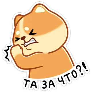 ❓ ТА ЗА ЧТО?! chien, mème, drôle, dessin animé, expression, russe, autocollant telegram sticker