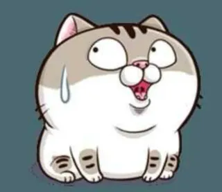 😰 Katze, Cartoon, Tier, Süß, Lustig, Sticker, Animiert telegram sticker