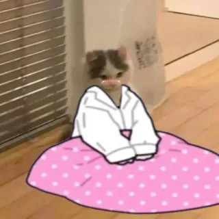 🍋 gatto, vestito, carino, adesivo, animale whatsapp sticker