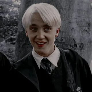 🐾 Draco Malfoy Harry Potter 드레이코 말포이, 해리 포터, 슬리데린, 마법사, 마법, 호그와트 telegram sticker