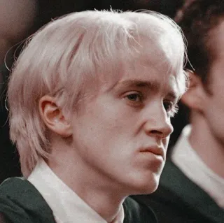 🪐 Draco Malfoy Harry Potter Draco Malfoy, Harry Potter, Mago, Sonserina, Tom Felton telegram sticker