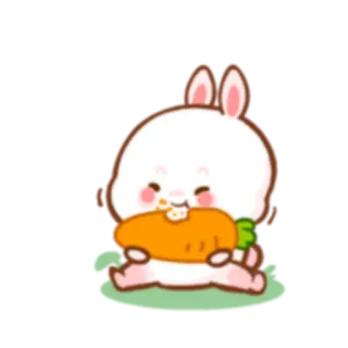 🥕 królik, marchewka, słodki, zwierzę, kreskówka whatsapp sticker