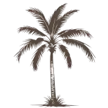 🌴