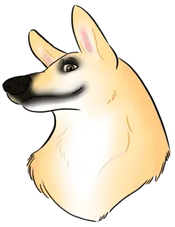 🙂 anjing, hewan, potret, hewan peliharaan, hewan domestik, anjing telegram sticker