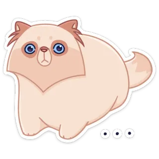 😳 ... gato, fofo, animal, animal de estimação, fofo, desenho animado, adesivo telegram sticker