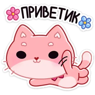 👋 ПРИВЕТИК кот, приветствие, привет, милый, розовый, цветок, русский telegram sticker
