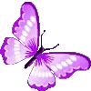🦋