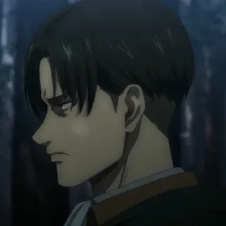 ⚜ Levi Ackerman Attack on Titan Anime, Charakter, Attack on Titan, Levi Ackerman telegram sticker