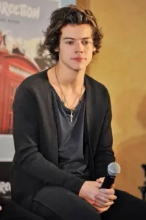 😬 Harry Styles singer, celebrity, pop star, one direction, portrait telegram sticker