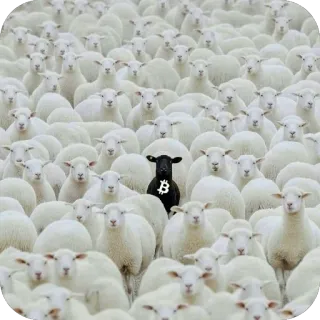 🫥 oveja, oveja negra, Bitcoin, criptomoneda, moneda digital, mentalidad de rebaño telegram sticker